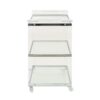 Elegant Acrylic Bar Cart With Tempered Glass Shelves And Rattan Metal Frame - Clear - Image 8