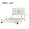 Full Upholstered Platform Bed With Saddle Curved Headboard And Diamond Tufted Details - Beige - Image 8