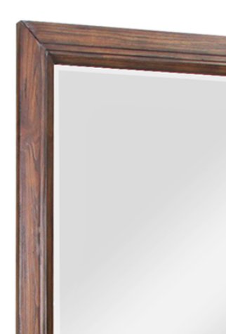 Branson - Mirror - Rustic Buckeye - Image 4