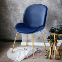 Chuchip - Side Chair (Set of 2) - Blue / Gold