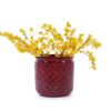 3 Pieces Ceramic Flowerpot, Planter For Patio & Garden Or Windowsills - Bean Paste Red - Image 6