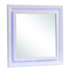 Elegant Transitional LED Mirror 2 - Silver Champagne - Image 7