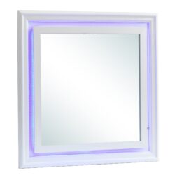 Elegant Transitional LED Mirror 2 - Silver Champagne