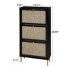 Modern Rattan 3 Door Shoe Rack Cabinet For Entryway Freestanding Black Storage Unit In Particle Board - Black - Image 3