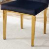 Legs Complement The Velvet Chair (Set of 4) - Black - Image 13