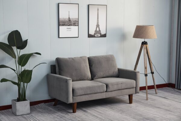 Modern Plush Comfort Sofa - Gray