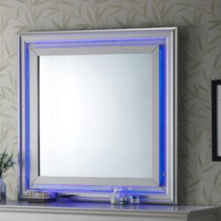 Elegant Transitional LED Accent Mirror 2 - Silver Champagne