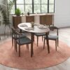 Destiny - Dining Chairs (Set of 2) - Gray - Image 9
