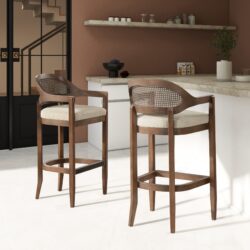 Americana - Mid-Century Modern Cane Back Bar Stool - Taupe Beige