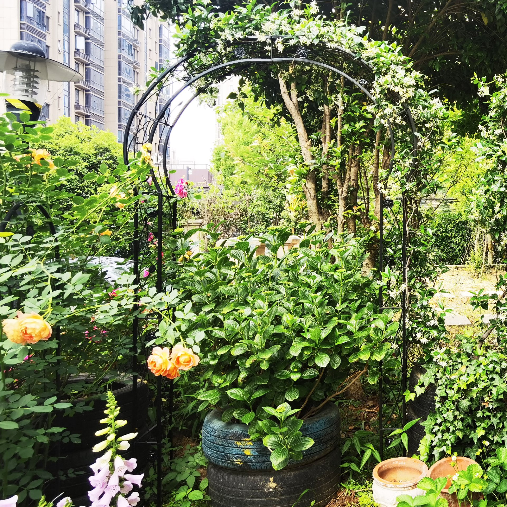 Metal Garden Arch Assemble Freely With 8 Styles Garden Arbor Trellis Climbing Plants Support Rose Arch - Black - Image 8