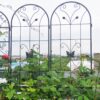 2 Pack Garden Metal Trellis Rustproof Trellis For Climbing Plants Outdoor Flower Support - Black - Image 7