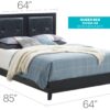 Primo - Queen Bed - Black - Image 5