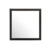 Modern Design Transitional Wall Mirror - Black - Image 9