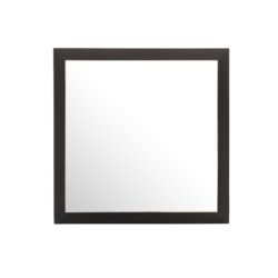 Modern Design Transitional Wall Mirror - Black