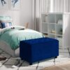 Cosmopolitan - Storage Ottoman - Blue - Image 8