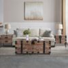 Trunk Table And Side Table With Large Storage Dress Up Your Liviing Room (Set of 3) - Antique Gray - Image 4