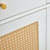 Modern Minimalist Rattan Shoe Cabinet, Elegant Storage Solution - White - Image 15