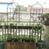 4 Pack Metal Garden Trellis Rustproof Trellis For Climbing Plant Outdoor Flower Support - Black - Image 13