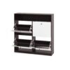 Modern Freestanding Shoe Storage Cabinet With 4 Flip Drawers - Walnut - Image 19