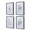 Botanical Wall Art Prints, Home Decor For Living Room Dining Room, Bedroom, Hallway (Set of 4) - White / Black - Image 3