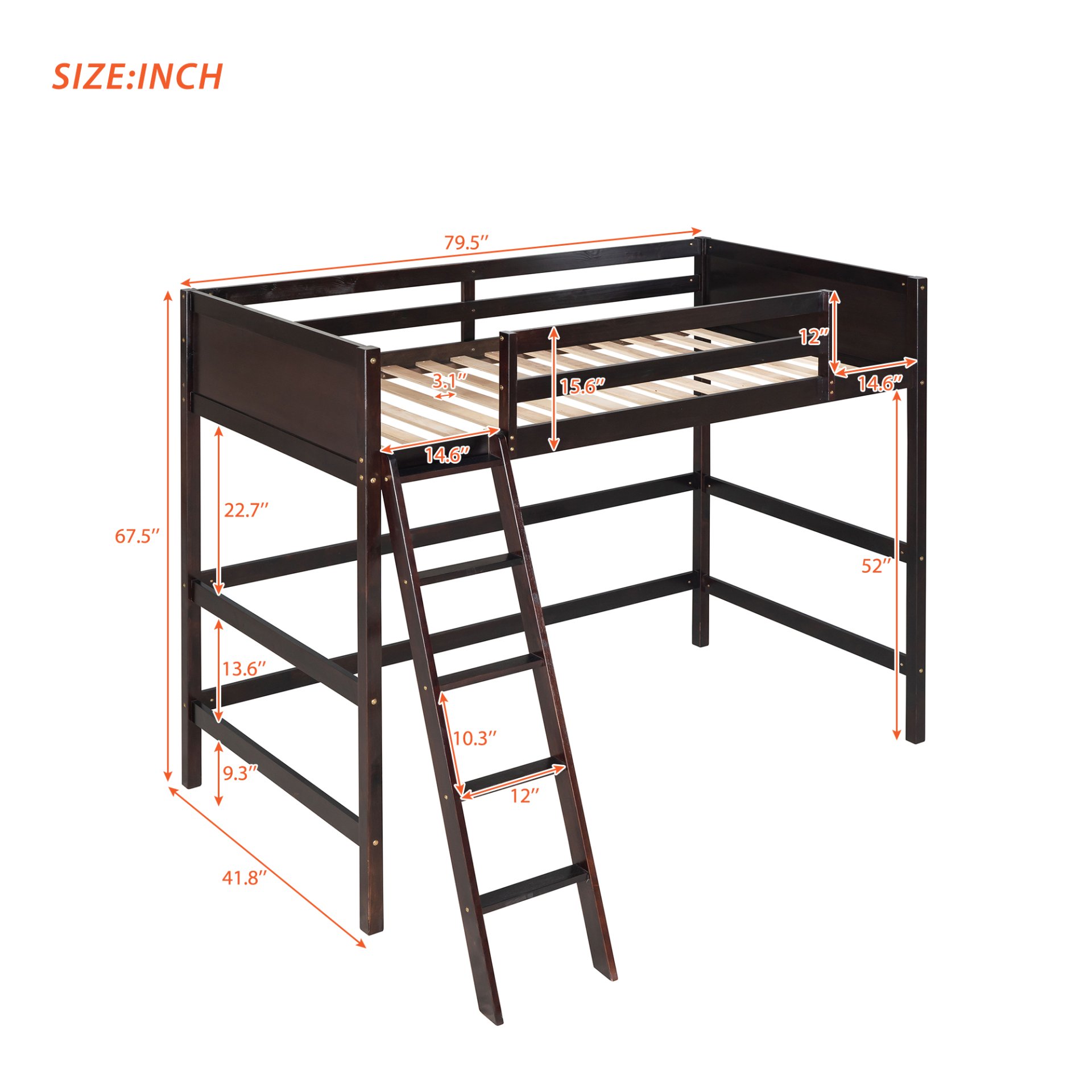 Twin Size Loft Bed With Ladder - Espresso - Image 5