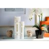 Book Boxes (Set of 2) - White / Gold - Image 9