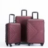 3 Piece Luggage Sets Lightweight Suitcase With Two Hooks, Spinner Wheels, Tsa Lock, (20/24/28) - Wine Red - Image 6