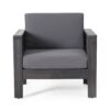 Flare - Outdoor Club Chair With Water Resistant Cushions - Dark Gray - Image 4