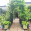 Metal Garden Arch With Two Plant Stands Wide High Climbing Plants Support Rose Arch Outdoor - Black - Image 7