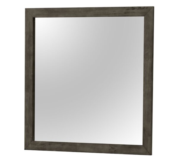 Chic Transitional Wall Mirror - Gray