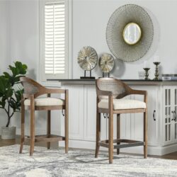 Americana - Mid-Century Modern Cane Back Counter Stool - Taupe Beige Textured Weave