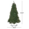 Noble - 7' Hinged Christmas Tree With 500 Clear Lights - Green - Image 3