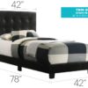 Caldwell - Twin Bed Stylish Contemporary - Black - Image 5