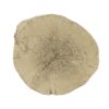 Gene - Fiber Concrete Accent Table - Brown - Image 3