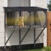 Premium Cat Window Box With Bug Proof Net For Large Indoor Cats Spruce Wood & Polyester - Antique Gray - Image 4