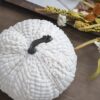 Chenille Weighted Pumpkin Ornament Decor For Holiday Harvest Festival Fall Festival & Thanksgiving (Set of 2) - White - Image 4