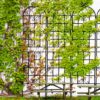 2 Pack Metal Garden Rustproof Trellis For Climbing Plants Outdoor Flower Support - Black - Image 3