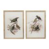 Bird Framed Print (Set of 2) - Multicolor - Image 2