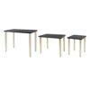 Side Tables (Set of 3) - Black / Gold - Image 13