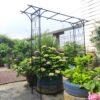 Metal Garden Arch Climbing Plants Support Rose Arch Outdoor - Black - Image 6