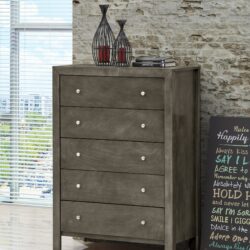 Elegant Transitional Storage Chest - Gray