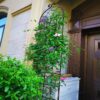 2 Pack Metal Garden Rustproof Trellis For Climbing Plants Outdoor Flower Support - Black - Image 4
