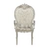 Bently - Arm Chair (Set of 2) - Champagne - Image 3