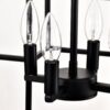 4 Light Metal Lantern Tiered Pendant Hanging Light Fixtures, Industrial Farmhouse Adjustable Height Chandeliers For Dining Room Hallway Foyer Entryway (E12 Bulbs Not Included) - Matte Black - Image 16