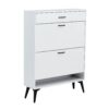 Shoe Cabinet, Shoe Storage Shelves, Metal Leg - White - Image 16