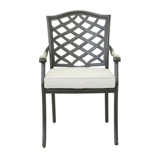 Dining Arm Chair (Set of 2) - Cast Silver