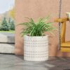Cube Planter - Antique White - Image 5