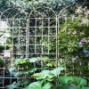 2 Pack Metal Garden Trellis Rustproof For Climbing Plant Outdoor Flower Support - Cream White - Image 7