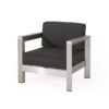 Aviara - Luxurious Outdoor Club Chair Low Profile Deep Seating - Silver - Image 7
