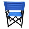 Folding Director Chair Canvas (Set of 2) - Blue - Image 6
